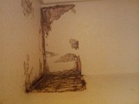 2016-01-18 12.02.59 : Birgit Cier, Cier Family, Pheonix, AZ
